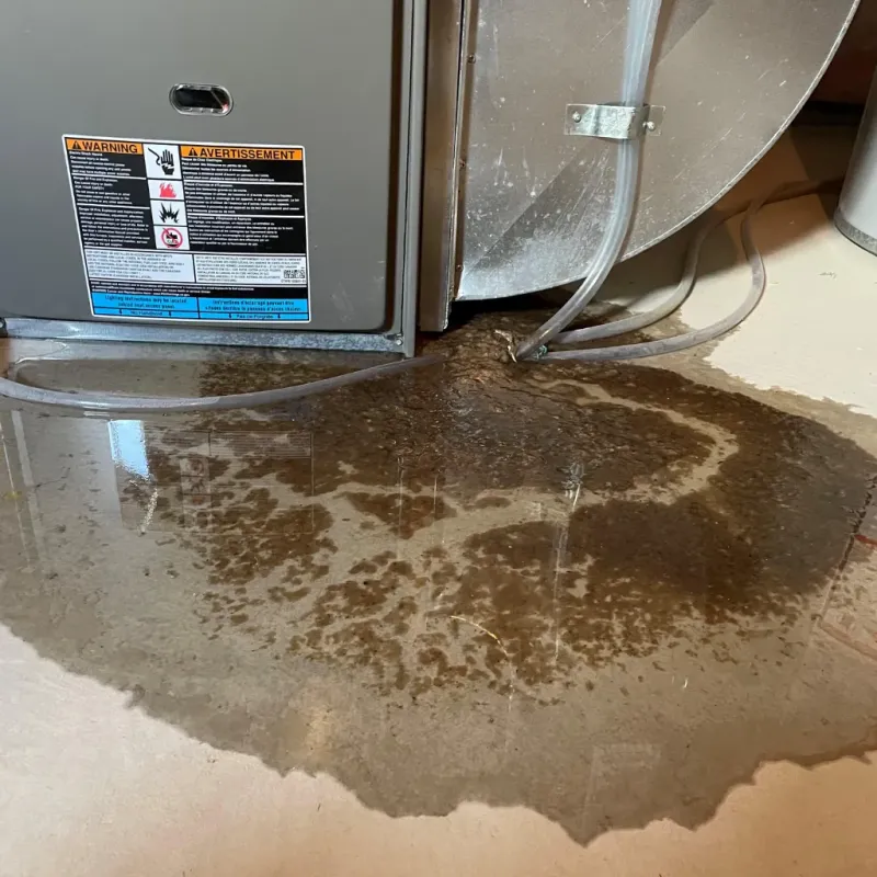 Appliance Leak Cleanup in Oxford, AL